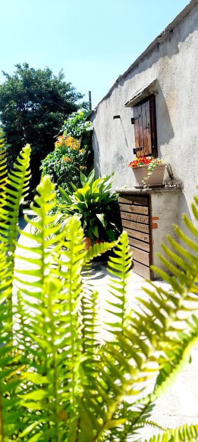 A Casa Di Roby Hotel Pinerolo Ngoại thất bức ảnh